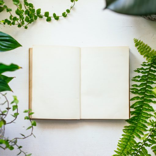 Book and plants